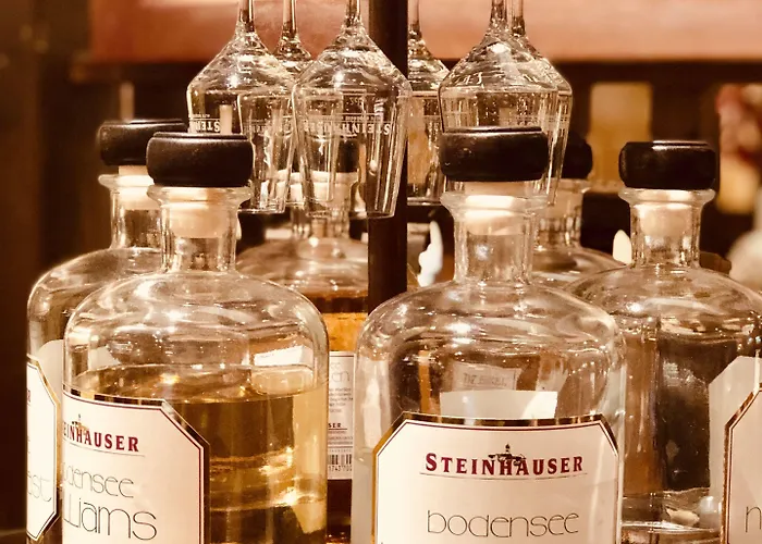 Hotel Heidelberg Hotel 3*