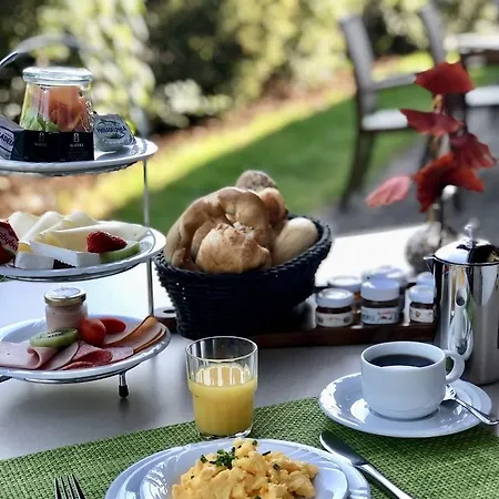 海德尔堡酒店 酒店 3*