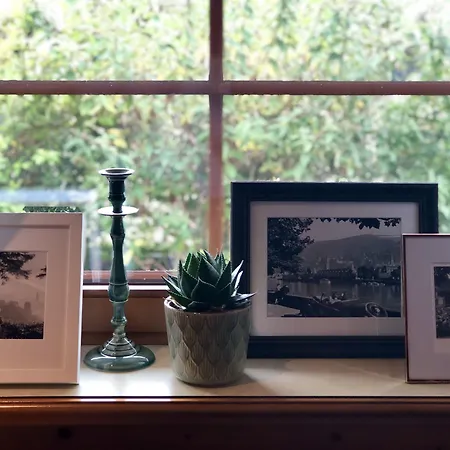 Hotel Heidelberg Hotel 3*