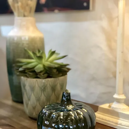 海德尔堡酒店 酒店 海德堡