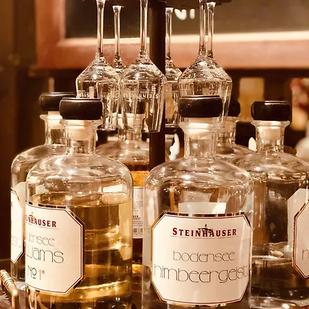 Hotel Heidelberg Hotel 3*