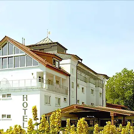 海德尔堡酒店 酒店