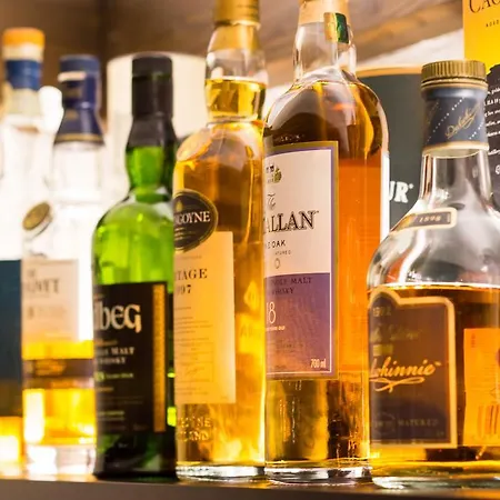 酒店 海德尔堡酒店 海德堡